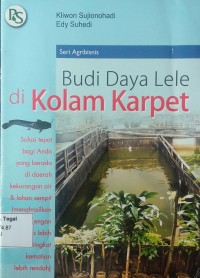 Budi daya lele di kolam karpet