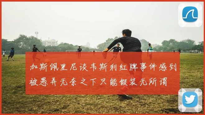 加斯佩里尼谈韦斯利红牌事件感到被愚弄无奈之下只能假装无所谓